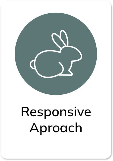 Responsive Aproach